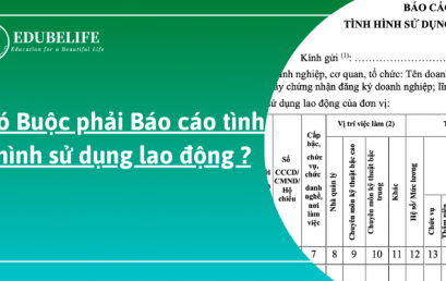 BÁO CÁO TÌNH HÌNH SỬ DỤNG LAO ĐỘNG