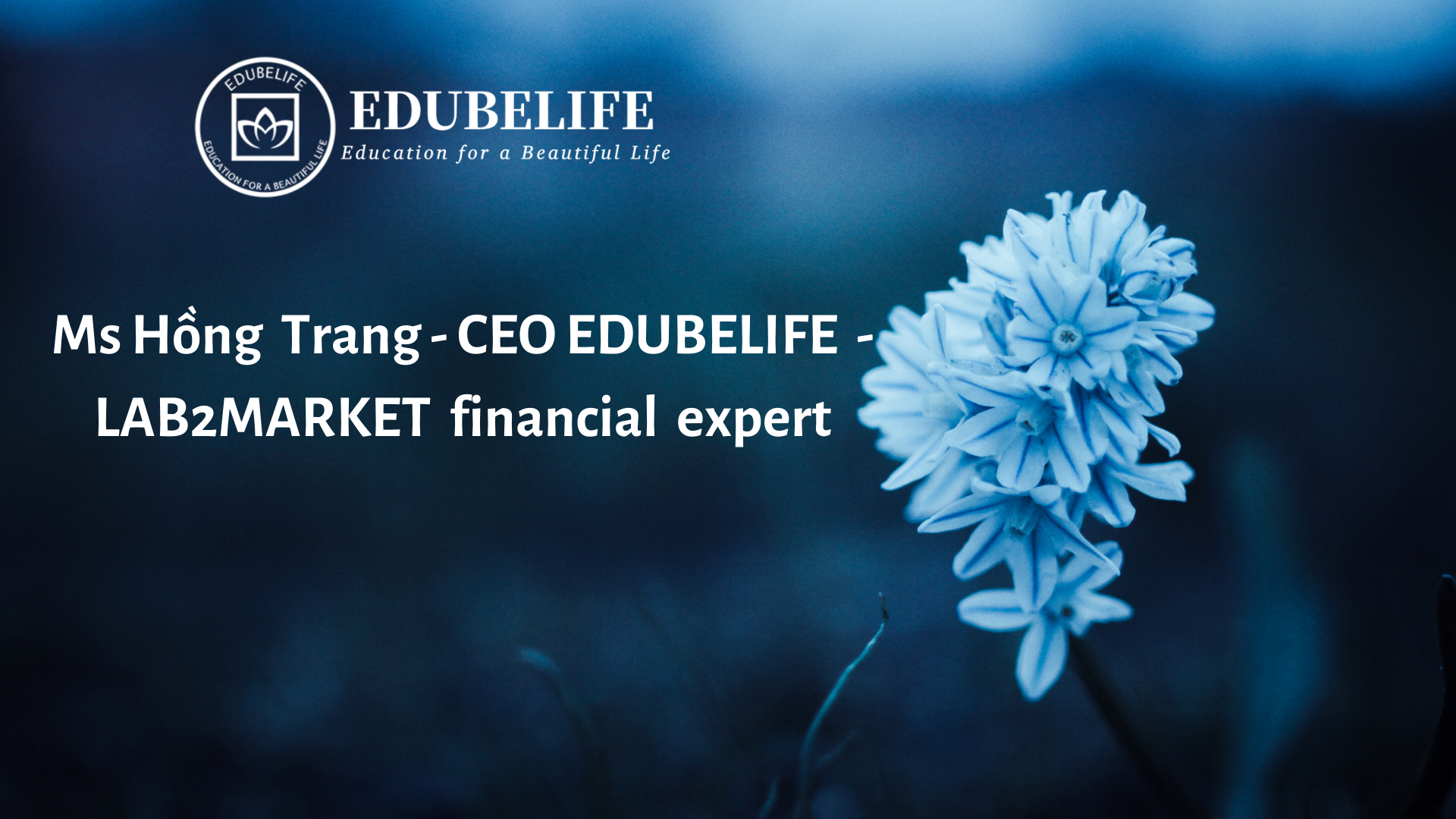 Ms. Hồng Trang (CEO Edubelife) – Chuyên gia tài chính chương trình LAB2MARKET