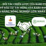 EDUBELIFE – ĐỐI TÁC CHIẾN LƯỢC CỦA RABO FOUNDATION – QUỸ ĐẦU TƯ TÁC ĐỘNG CỦA RABO BANK – NGÂN HÀNG NÔNG NGHIỆP LỚN NHẤT HÀ LAN