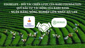 EDUBELIFE – ĐỐI TÁC CHIẾN LƯỢC CỦA RABO FOUNDATION – QUỸ ĐẦU TƯ TÁC ĐỘNG CỦA RABO BANK – NGÂN HÀNG NÔNG NGHIỆP LỚN NHẤT HÀ LAN