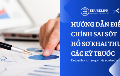 HƯỚNG DẪN ĐIỀU CHỈNH SAI SÓT HỒ SƠ KHAI THUẾ CÁC KỲ TRƯỚC