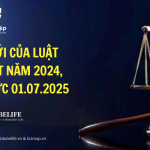 ĐIỂM MỚI CỦA LUẬT THUẾ GTGT 2024 CÓ HIỆU LỰC 01/07/2025