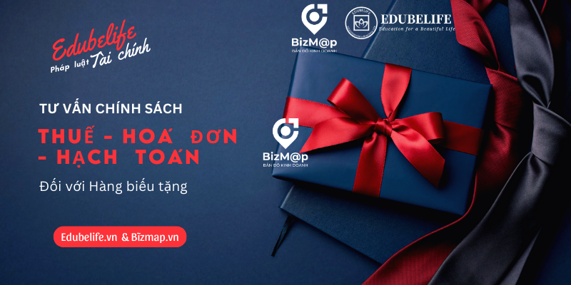TƯ VẤN CHÍNH SÁCH THUẾ, HOÁ ĐƠN, HẠCH TOÁN ĐỐI VỚI HÀNG BIẾU, TẶNG TƯ VẤN CHÍNH SÁCH THUẾ, HOÁ ĐƠN, HẠCH TOÁN ĐỐI VỚI HÀNG BIẾU, TẶNG