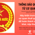 THƯ NGỎ TỪ CƠ QUAN THUẾ