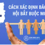 TƯ VẤN DOANH NGHIỆP CÁCH XÁC ĐỊNH NGHĨA VỤ BẢO HIỂM XÃ HỘI MỚI NHẤT