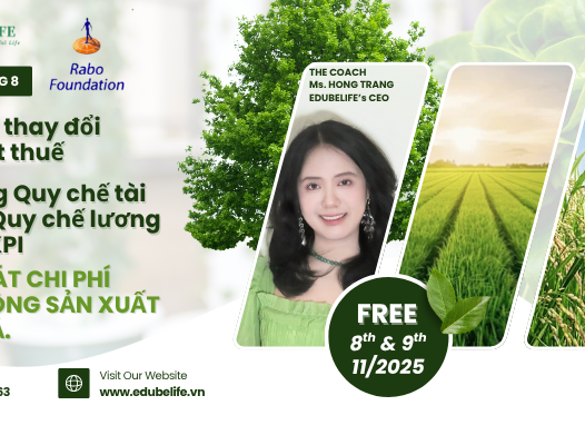 NÂNG CAO NĂNG LỰC QUẢN LÝ TÀI CHÍNH CHO CÁC DOANH NGHIỆP NÔNG NGHIỆP VỪA & NHỎ VIỆT NAM NÂNG CAO NĂNG LỰC QUẢN LÝ TÀI CHÍNH CHO CÁC DOANH NGHIỆP NÔNG NGHIỆP VỪA & NHỎ VIỆT NAM