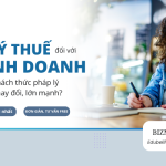 Tổng hợp văn bản pháp luật về quản lý thuế đối với hộ kinh doanh mới nhất 2025-2026