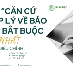 HỆ THỐNG CÁC CĂN CỨ PHÁP LÝ “LÕI” VỀ BẢO HIỂM BẮT BUỘC MỚI NHẤT
