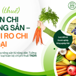 Ủy quyền nhận tiền khi mua nông sản từ nông dân: có thể bị loại toàn bộ chi phí thuế TNDN