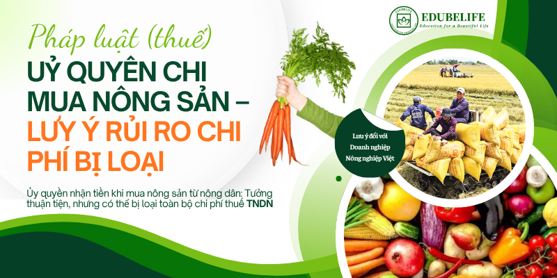Ủy quyền nhận tiền khi mua nông sản từ nông dân: có thể bị loại toàn bộ chi phí thuế TNDN