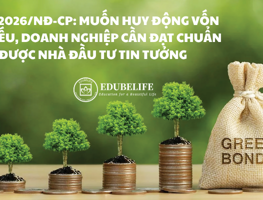 NĐ 200/2026/NĐ-CP: MUỐN HUY ĐỘNG VỐN TRÁI PHIẾU, DOANH NGHIỆP CẦN ĐẠT CHUẨN ĐỂ ĐƯỢC NHÀ ĐẦU TƯ TIN TƯỞNG