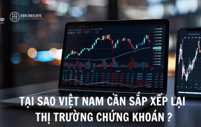 TẠI SAO PHẢI SẮP XẾP LẠI THỊ TRƯỚNG CHỨNG KHOÁN VIỆT NAM