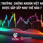 Thị trường chứng khoán Việt nam sẽ sắp xếp như thế nào?